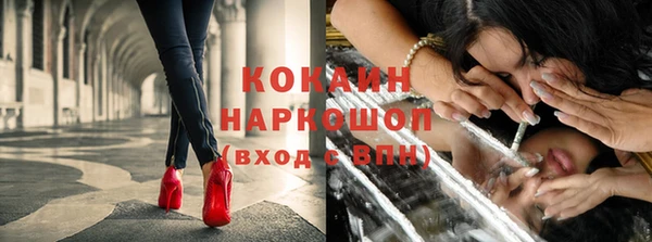 прущие крисы Богданович