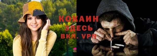 соль курить ск Богородицк