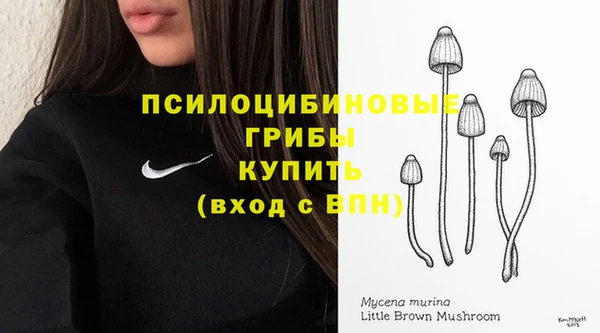 соль курить ск Богородицк